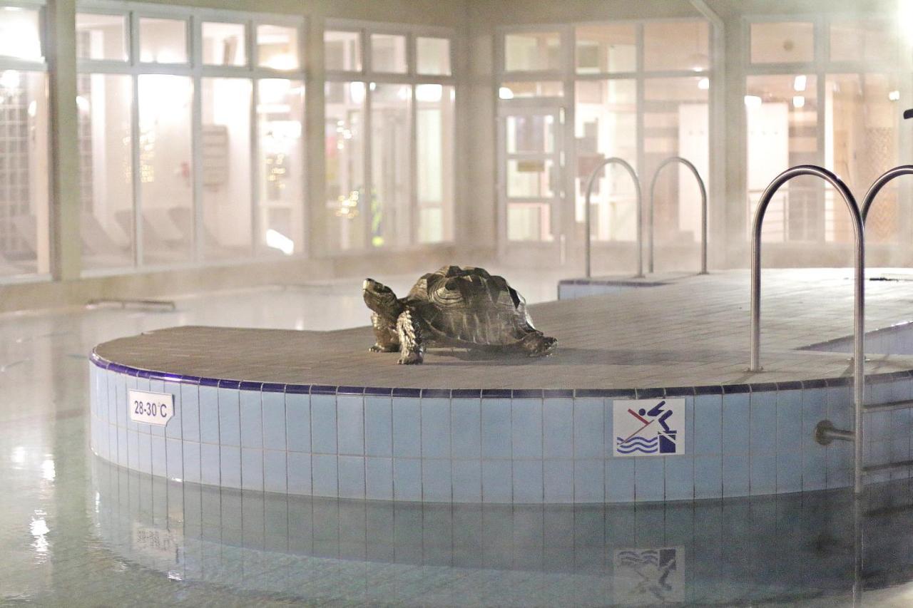 Aqua Termal Hotel